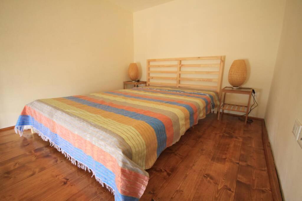 Bilocale Fronte Mare Apartment Marina Di Pisa Bagian luar foto